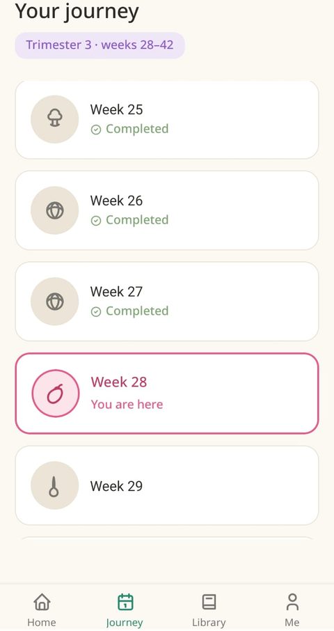 Week-by-week pregnancy journey screen, showing completed weeks and the current week highlighted